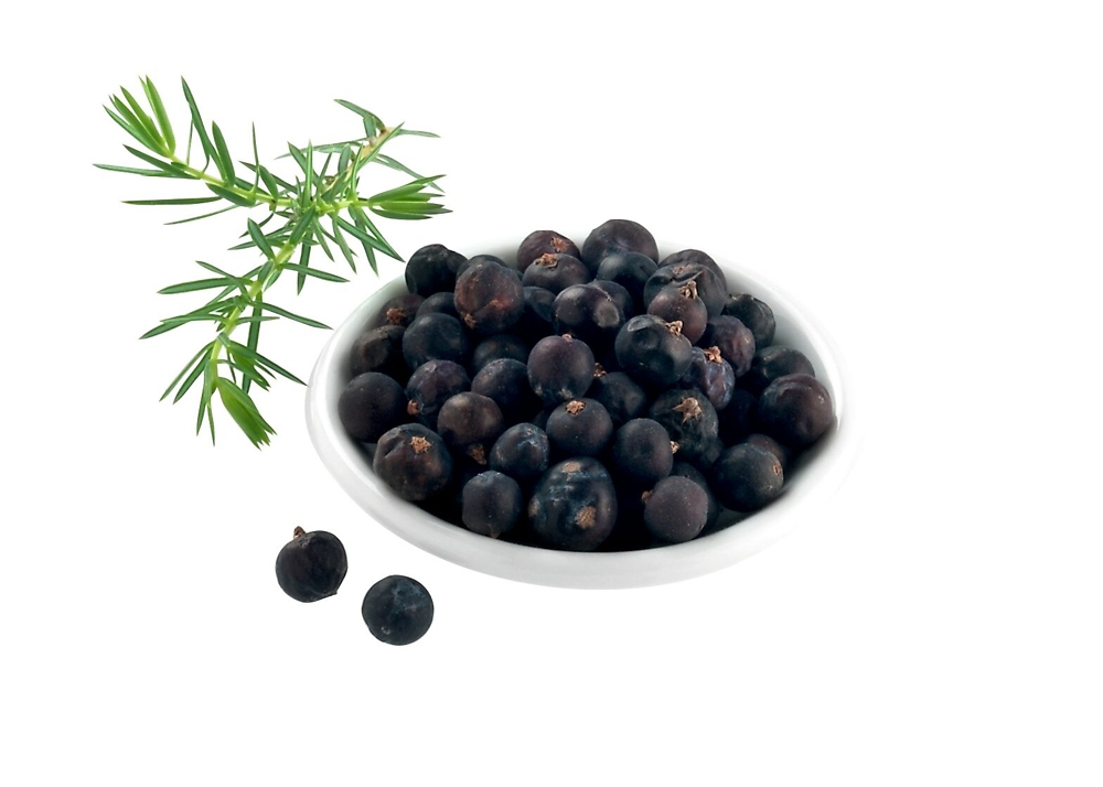WACHOLDERBEEREN GANZ