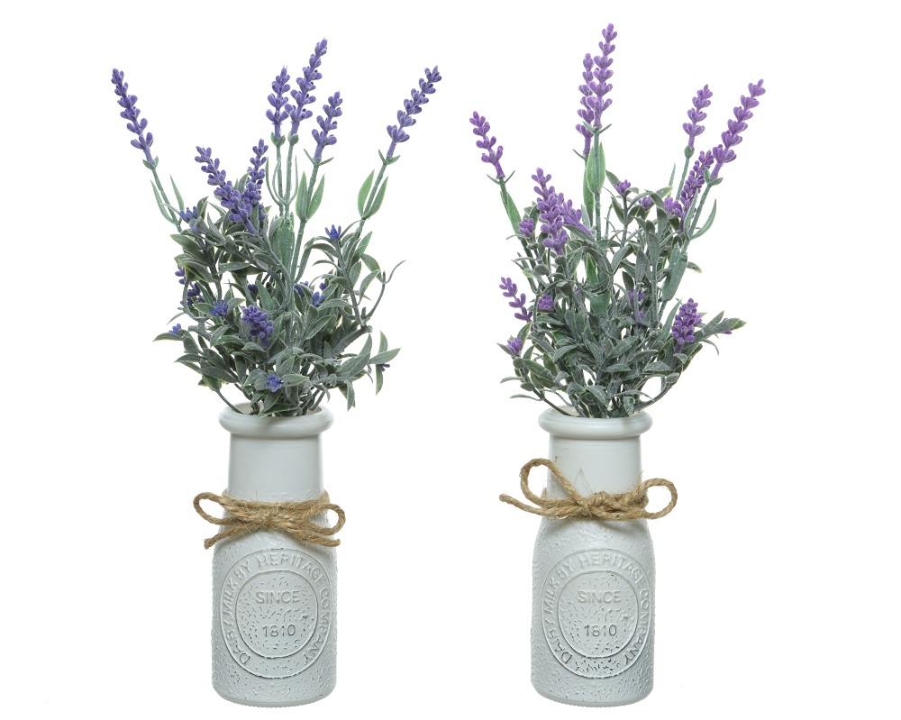 Lavendel im Topf 32 cm